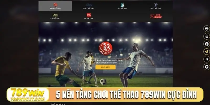 5 nền tảng chơi thể thao 789Win cực đỉnh