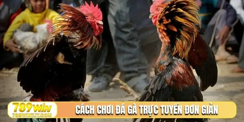 Cách chơi đá gà trực tuyến đơn giản