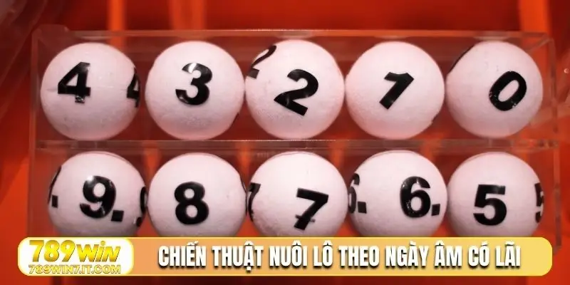 Chiến thuật nuôi lô theo ngày âm có lãi